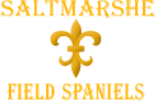 Saltmarshe Field Spaniels Logo
